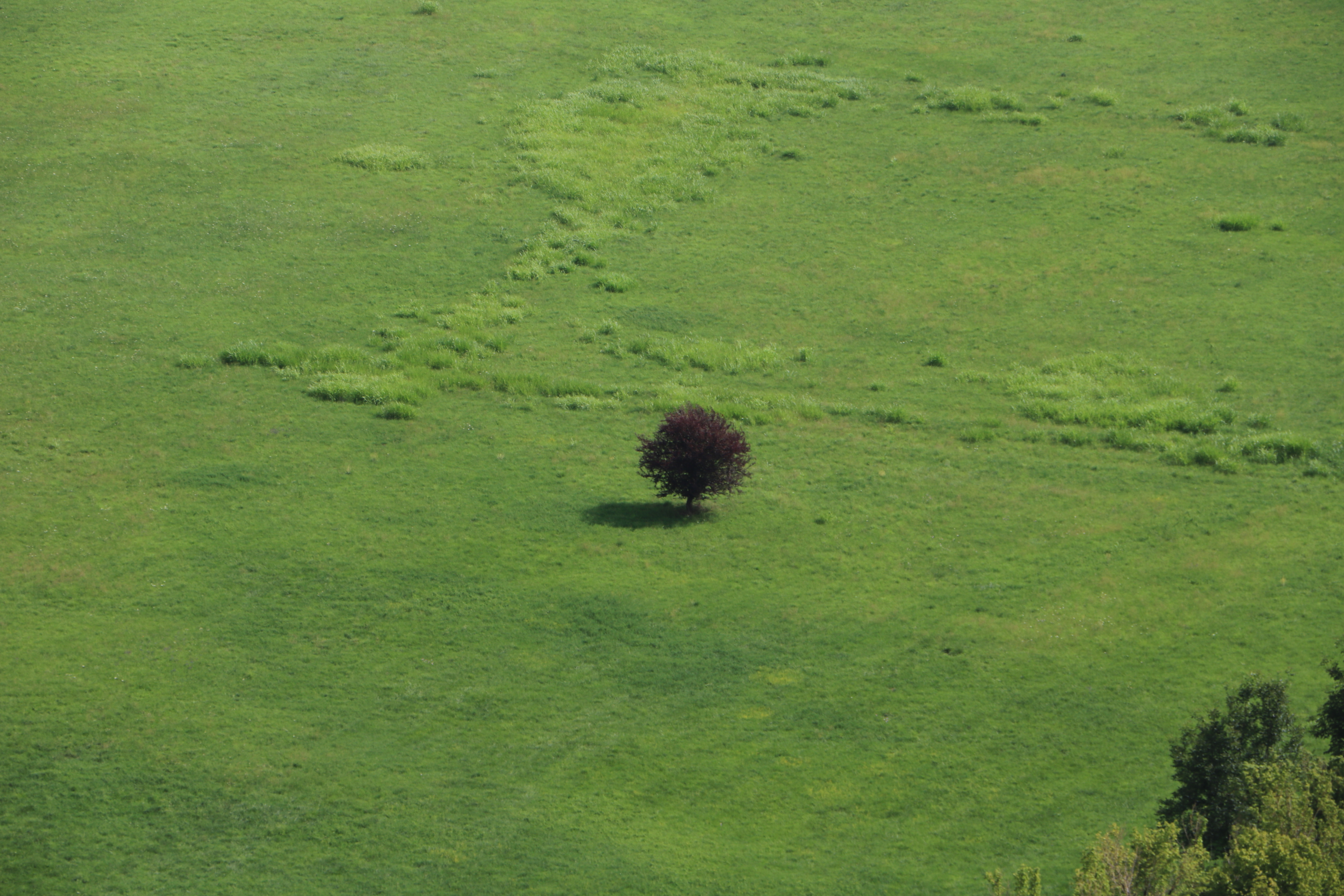 Photo n° 43 de l'avis de Bilal.u fait le 24/07/2021 à 12:45