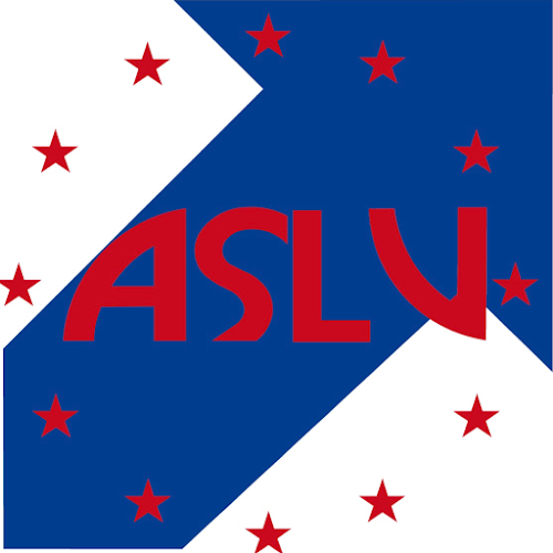 ASLV Cleaning Company - Genk