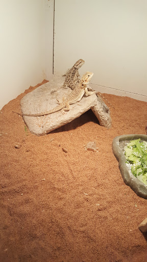 Pet Store «Miles of Exotics», reviews and photos, 8350 N Broadway, Kansas City, MO 64118, USA
