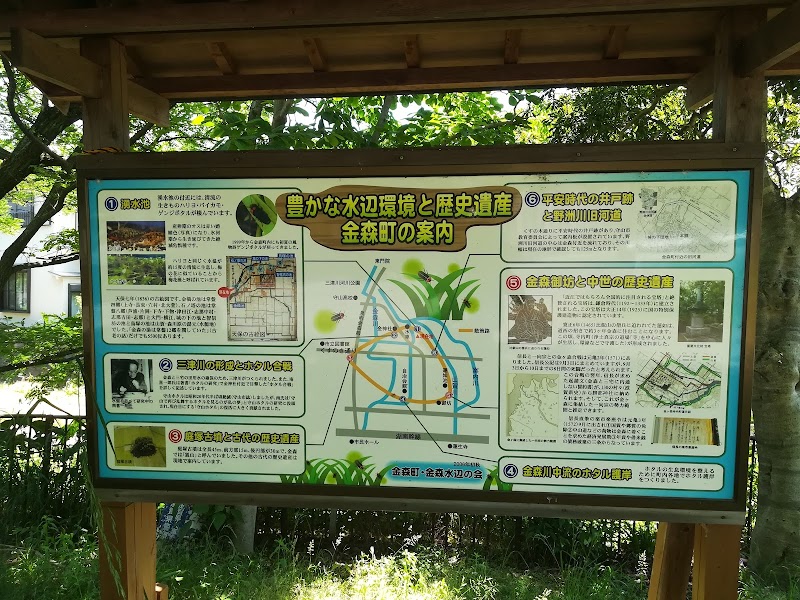 金森湧水公園