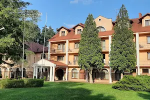 Hotel Tanew image