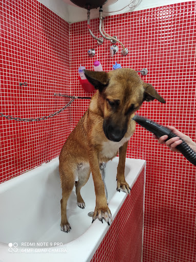 Centro Veterinario Tantrums en Puente Tocinos