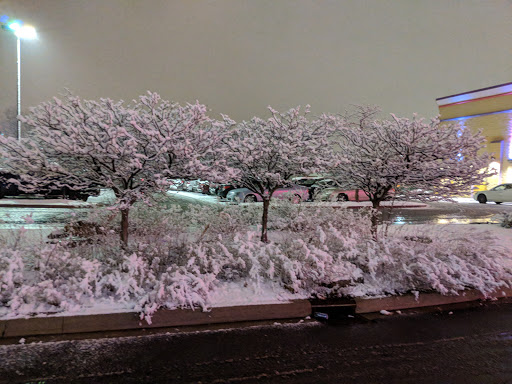 Movie Theater «Regal Cinemas Coldwater Crossing 14», reviews and photos, 211 W Washington Center Rd, Fort Wayne, IN 46825, USA