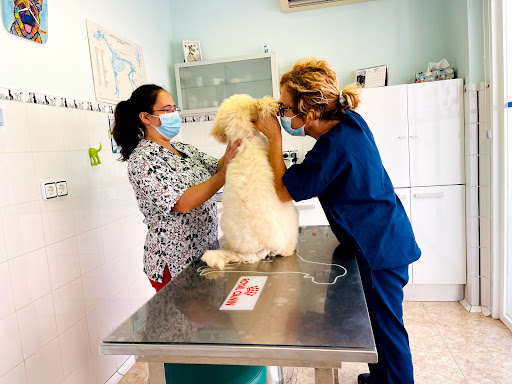 Clínica Veterinaria Sineu en Sineu