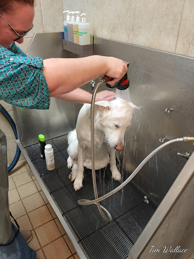 Pet Supply Store «Pet Supplies Plus», reviews and photos, 1616 Precinct Line Rd, Hurst, TX 76054, USA