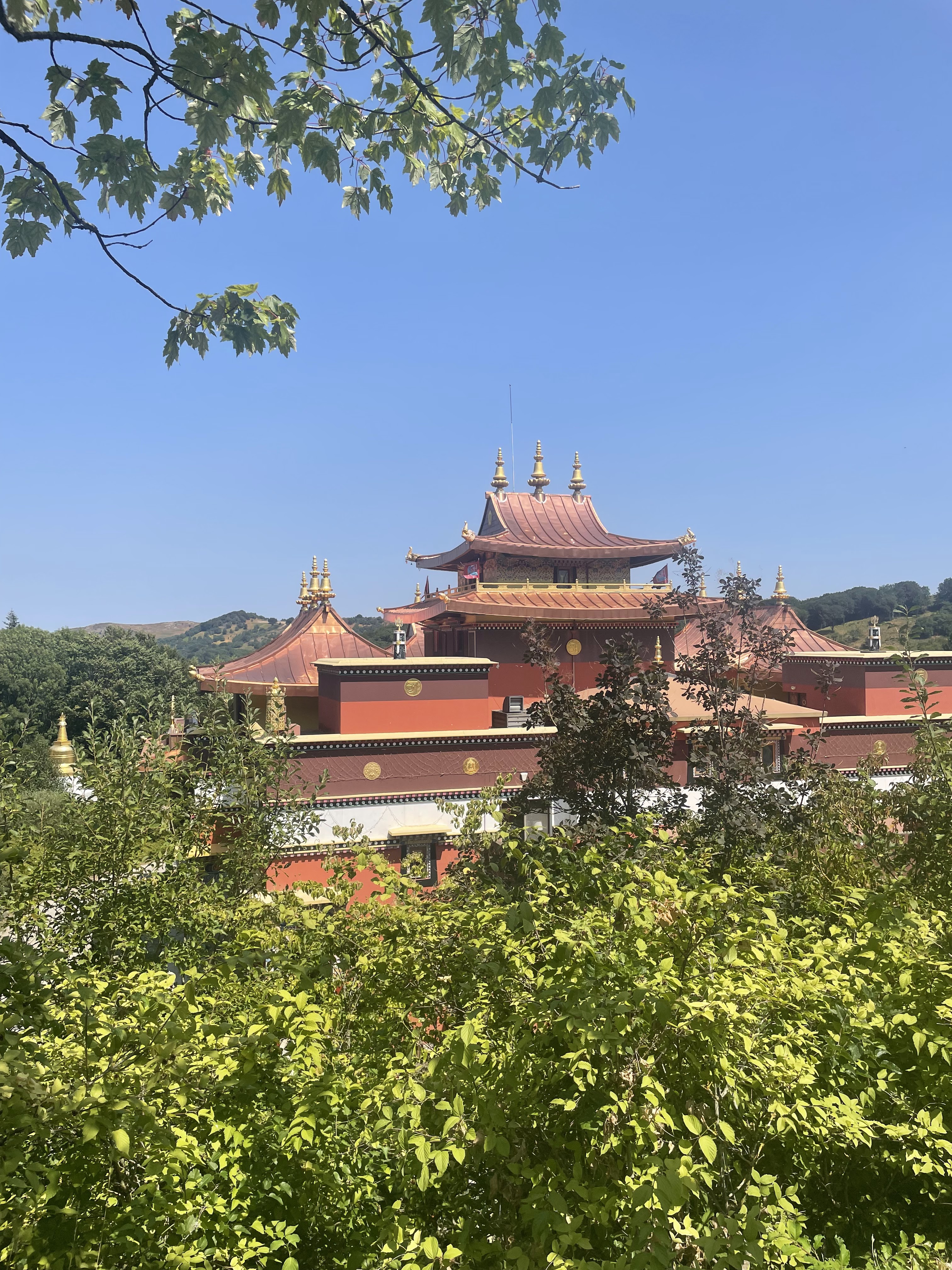 Photo n° 1 de l'avis de Romane.r fait le 13/08/2022 à 16:40