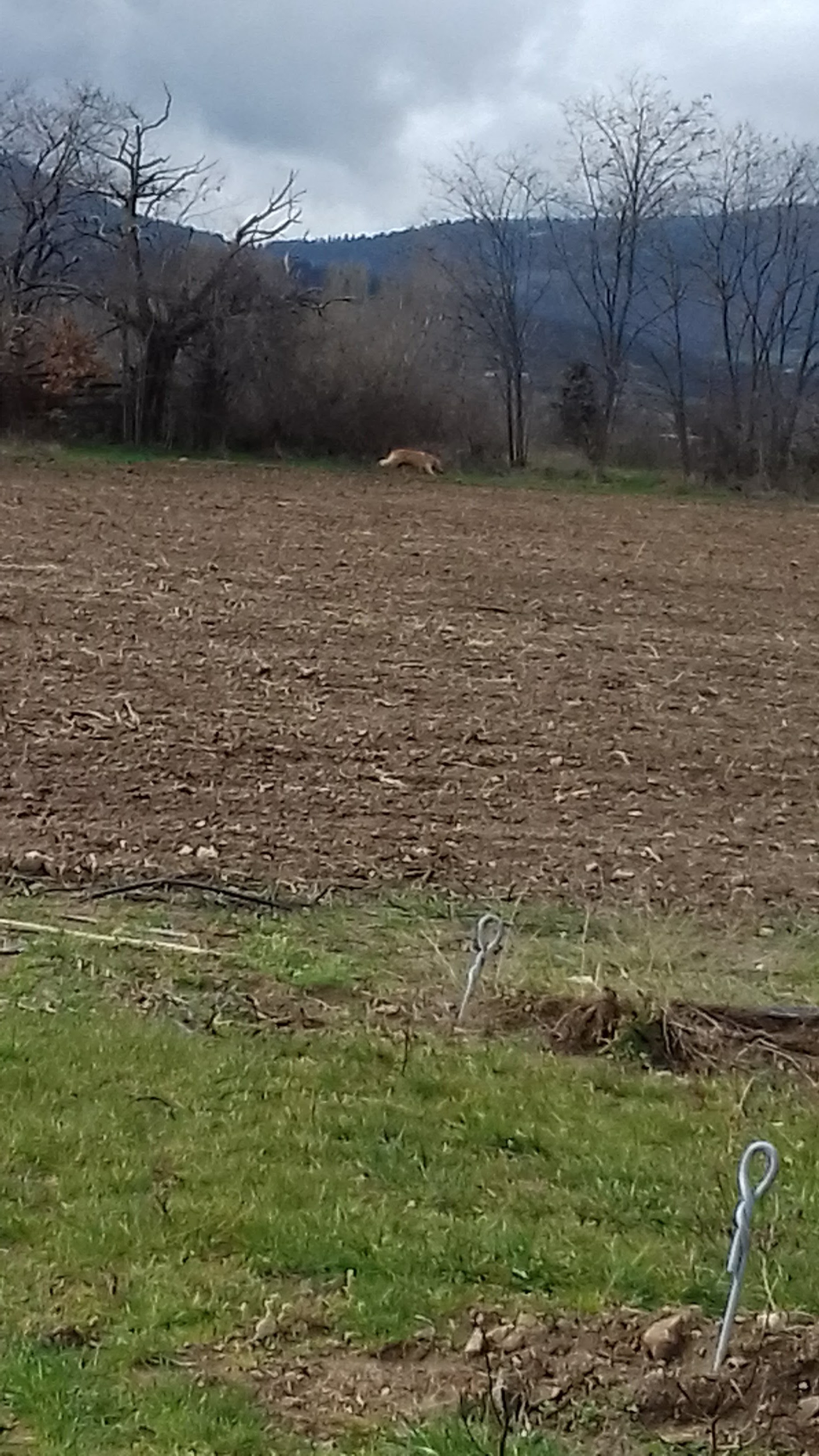 Photo n° 10 de l'avis de Mxtth.. fait le 25/03/2018 à 12:45