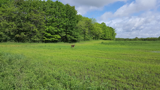 Nature Preserve «Arthur L. Janura Forest Preserve», reviews and photos, IL-58, Elgin, IL 60120, USA