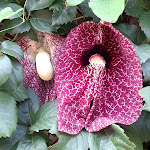 Photo n°10 de l'avis de Salvatore.u fait le 21/09/2021 à 13:58 sur le  Hotel Resort Ristorante Masseria Le Pajare à Presicce-Acquarica