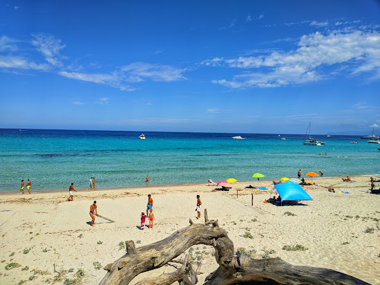Plage de Saleccia