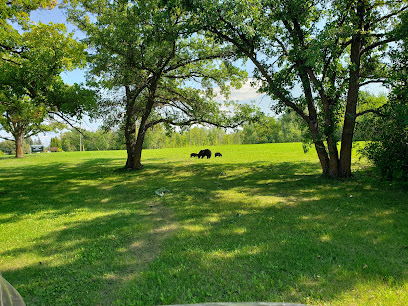 Pine Falls Golf Club