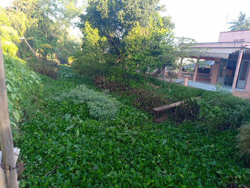 Top 13 cửa hàng kim giáp Huyện Trà Ôn Vĩnh Long 2022