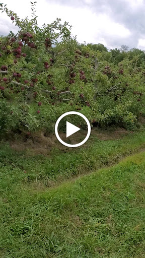 Nature Preserve «Princess Ledges Nature Preserve», reviews and photos, 4361 Spruce Ave, Brunswick, OH 44212, USA