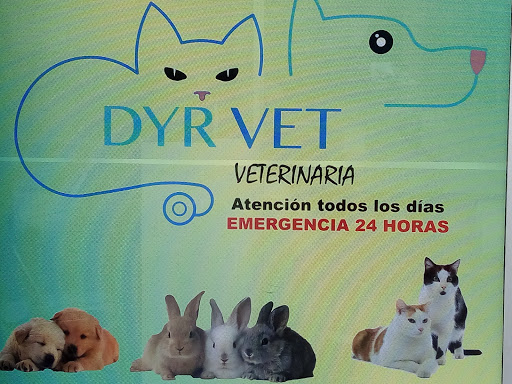 Veterinaria DyrVet