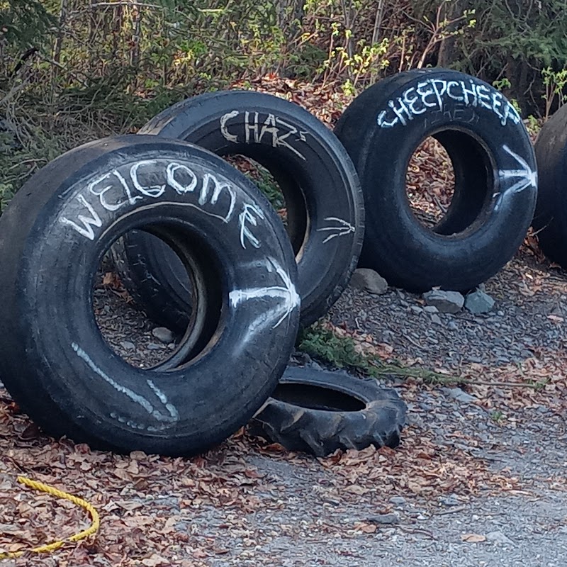 Chazs Cheep Tire And Rim