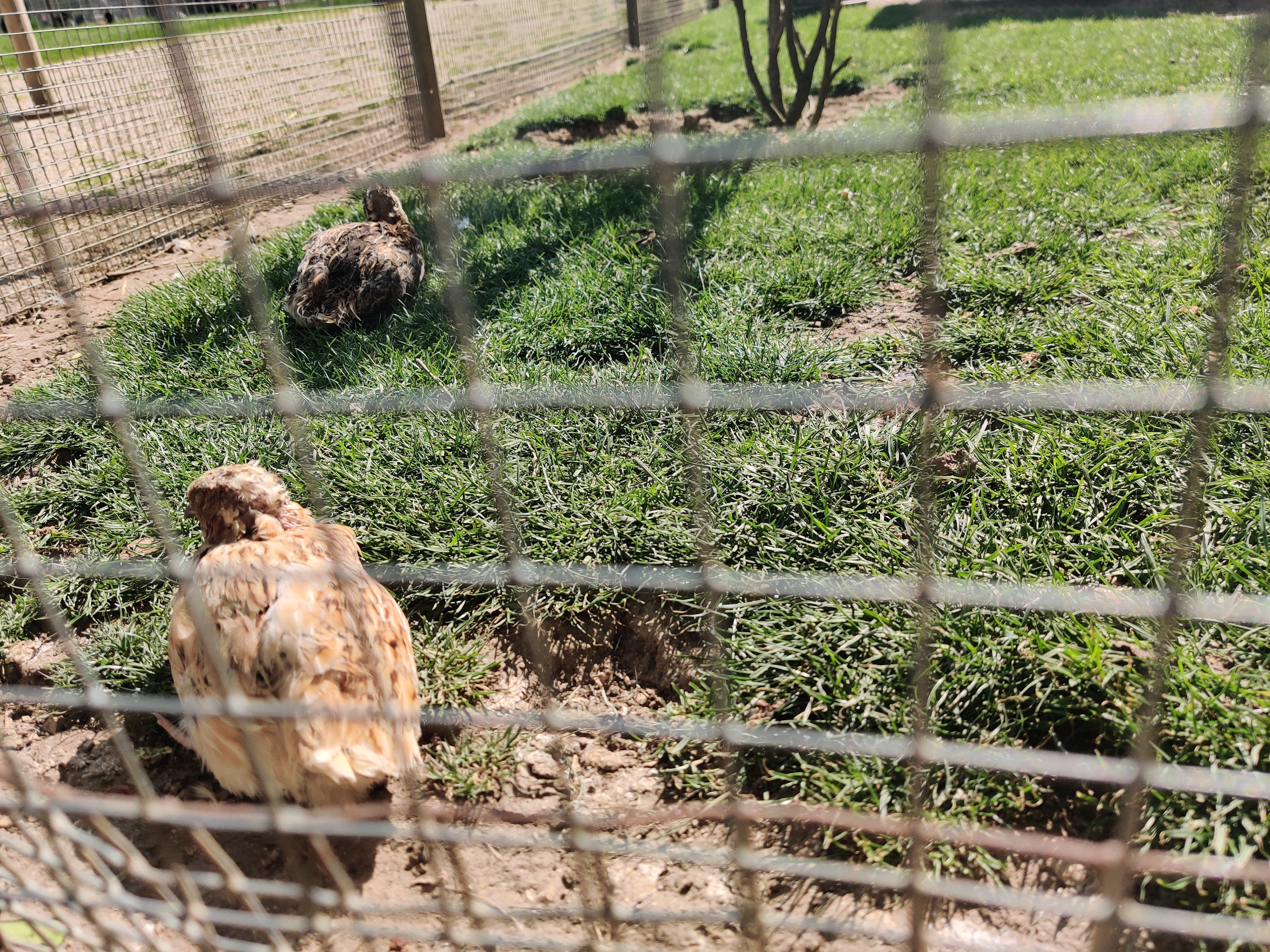 Photo n° 11 de l'avis de Carole.r fait le 01/05/2022 à 15:15