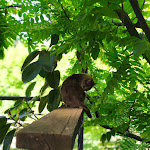 Photo n°3 de l'avis de Carlo.i fait le 24/06/2020 à 06:58 sur le  Agriturismo Pian di Stantino à Tredozio