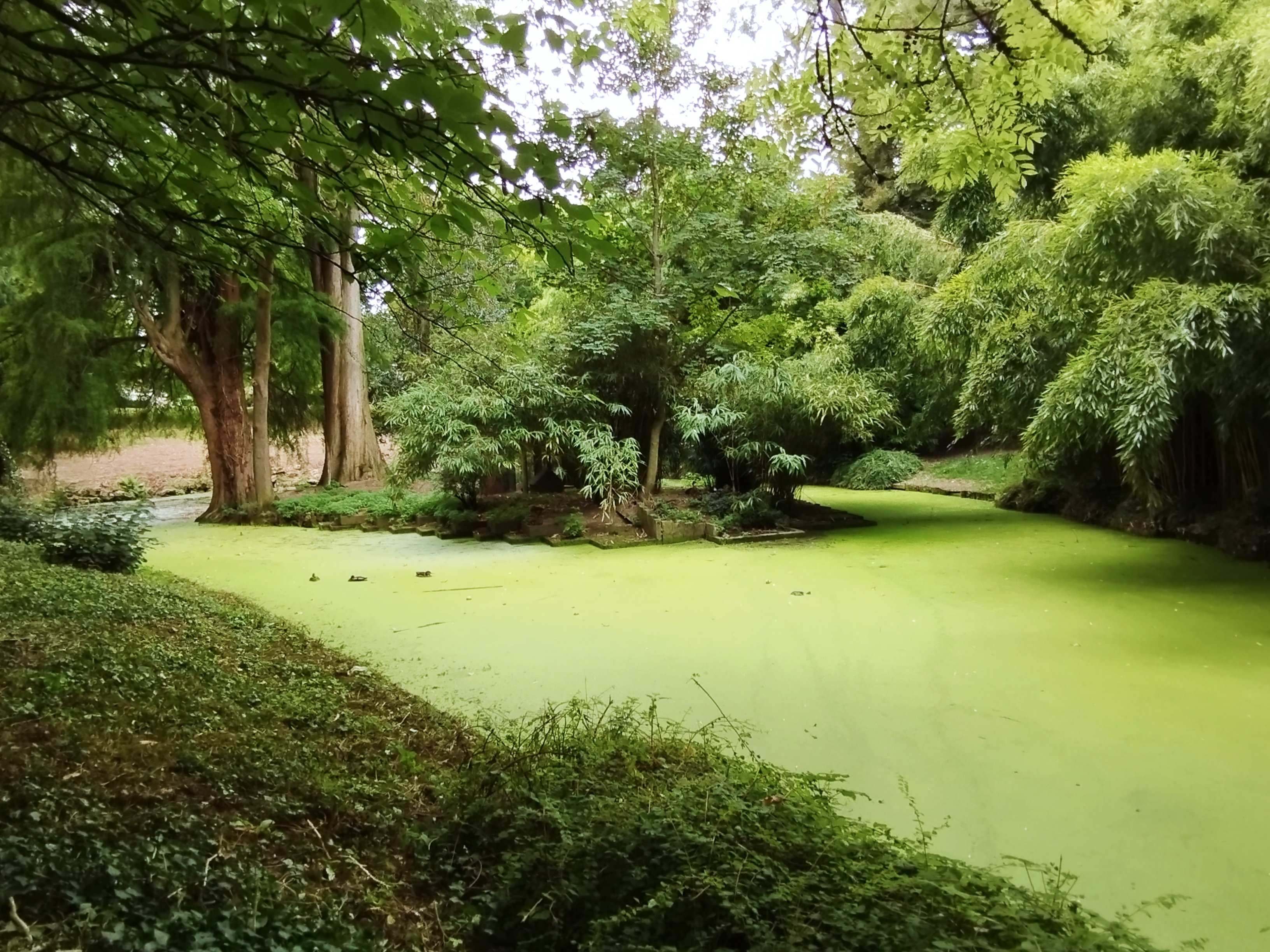 Photo n° 14 de l'avis de V. fait le 23/08/2022 à 18:25