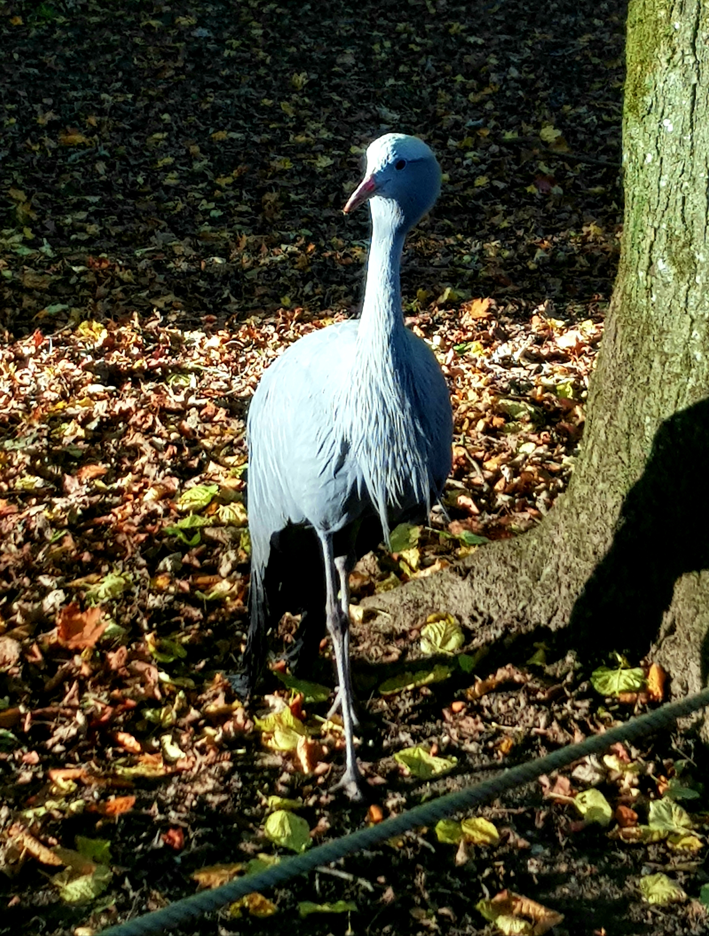 Photo n° 4 de l'avis de Morglaz.c fait le 10/11/2021 à 10:42