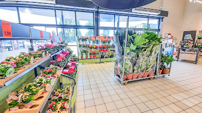 Lidl à L'Isle-d'Abeau
