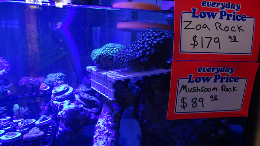Tropical Fish Store «The Fish Store», reviews and photos, 12320 Lake City Way NE, Seattle, WA 98125, USA