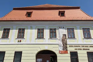 Ioan Raica Municipal Museum image