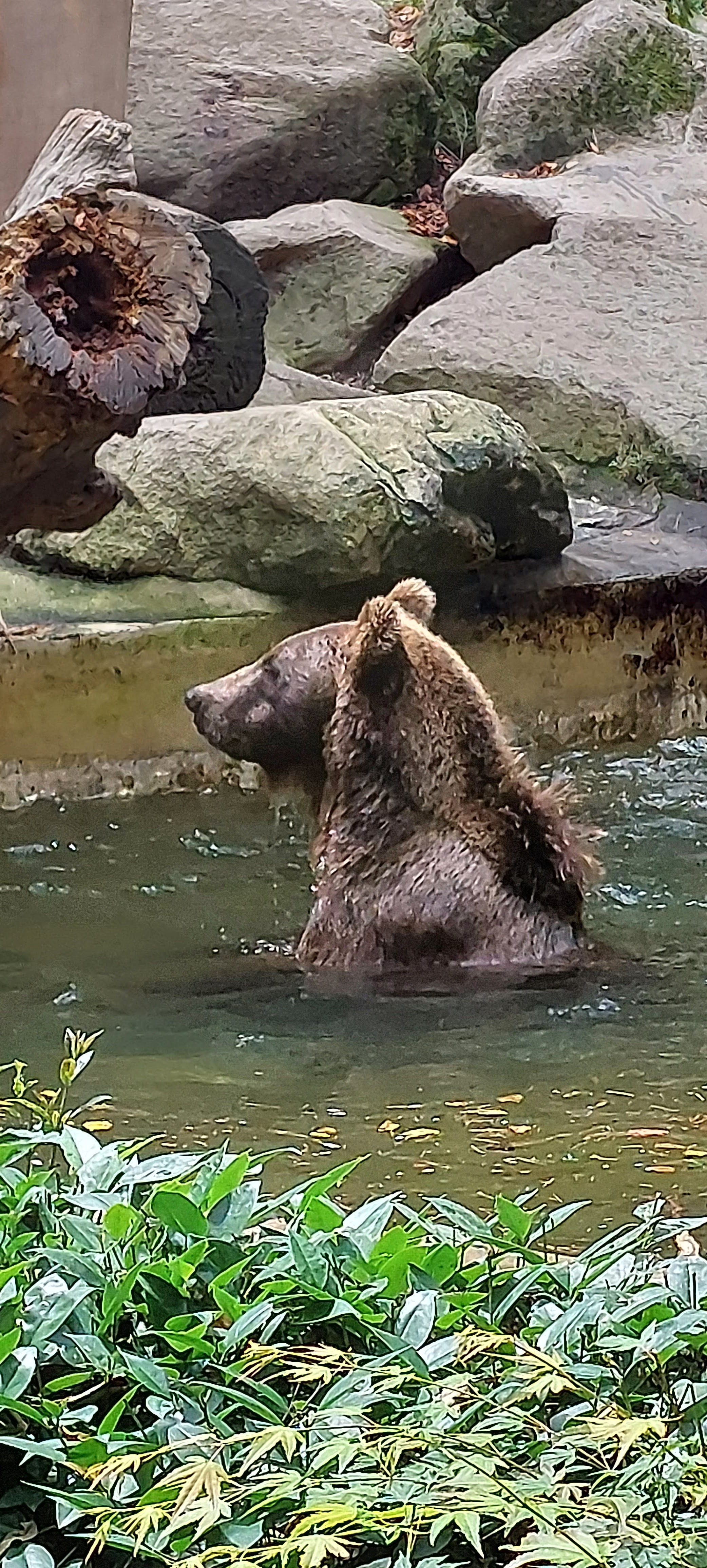 Photo n° 1 de l'avis de L.a fait le 28/07/2023 à 16:32