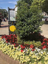 Worthing Town Centre Initiative