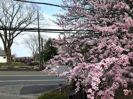 Golf Course «Maple Moor Golf Course», reviews and photos, 1128 North St, White Plains, NY 10605, USA