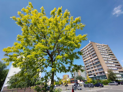 Centre Social des 3 Villes à Hem