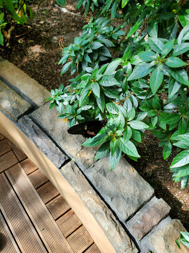 Science Museum «Connecticut Science Center», reviews and photos, 250 Columbus Blvd, Hartford, CT 06103, USA