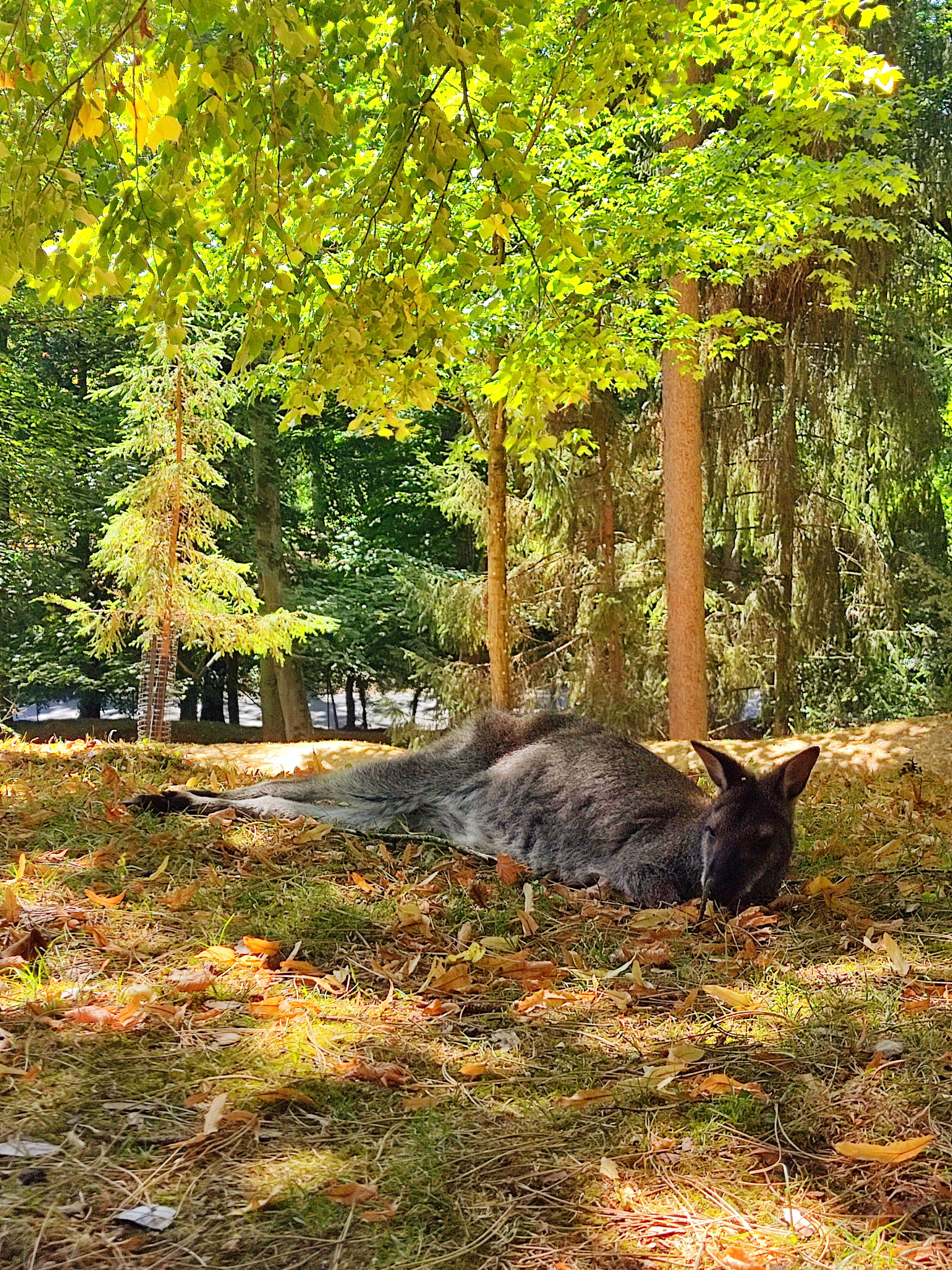 Photo n° 4 de l'avis de Clémentine.o fait le 08/08/2022 à 15:48