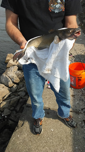 Sporting Goods Store «Causeway Sporting Goods», reviews and photos, 2233 Greenville Rd NE, Cortland, OH 44410, USA