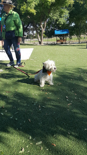 Park «Stonebrook Park», reviews and photos, 14431 W Ely Dr, Surprise, AZ 85374, USA