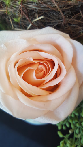 Florist «Shananne Cain Florist Inc», reviews and photos, 123 N Central Ave, Umatilla, FL 32784, USA