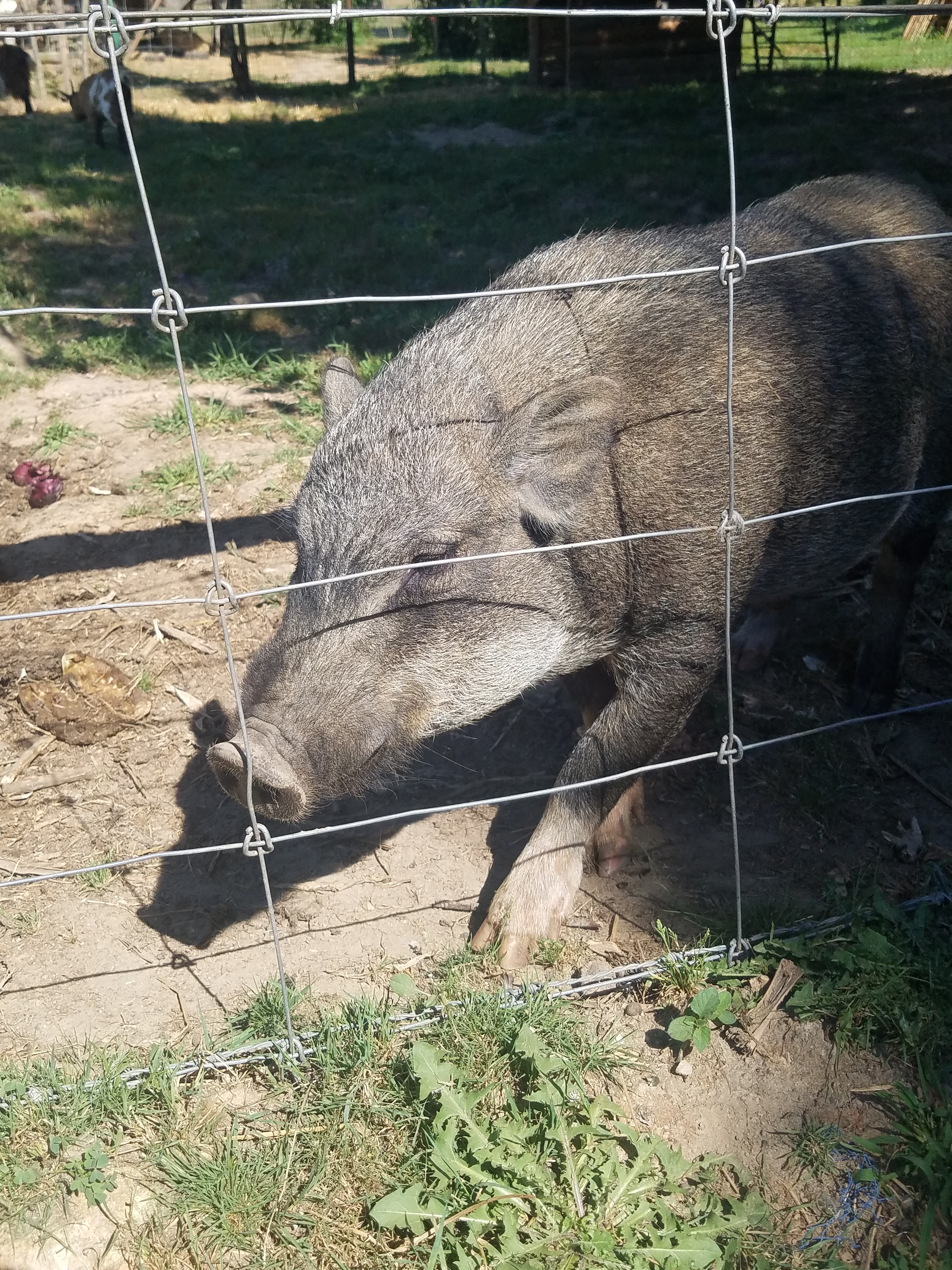 Photo n° 13 de l'avis de Jenny.o fait le 03/08/2018 à 15:13