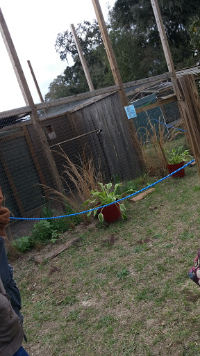 Zoo «Florida International Teaching Zoo», reviews and photos, 7725 FL-48, Bushnell, FL 33513, USA