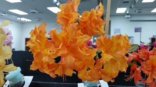 Event Venue «Florence Events Center», reviews and photos, 715 Quince St, Florence, OR 97439, USA