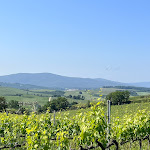 Photo n°5 de l'avis de Hilary.e fait le 26/05/2023 à 08:36 sur le  Locanda le Piazze à Castellina in Chianti