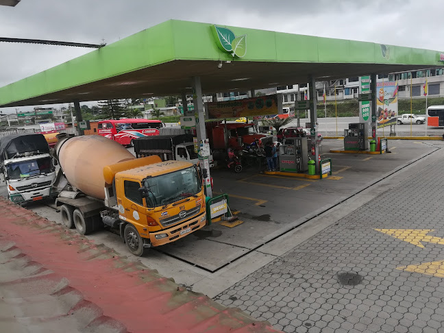 Gasolinera Trans Esmeraldas Masgas