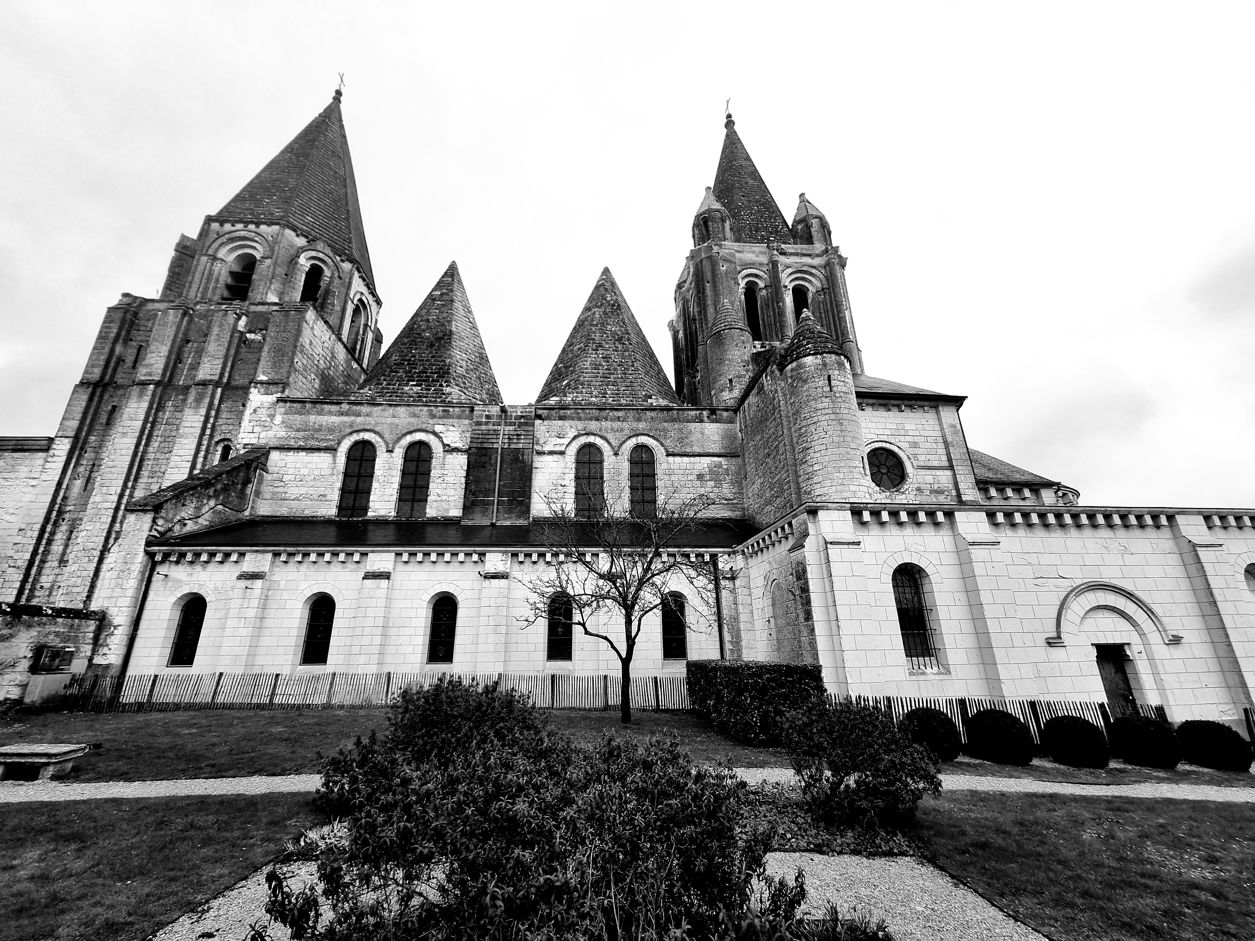 Photo n° 5 de l'avis de Laura.h fait le 09/03/2023 à 18:11