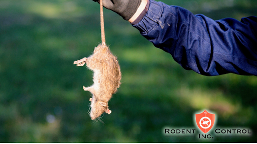 Rodent Control Inc.