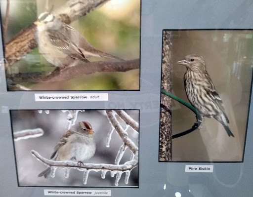 Park «Martha Lafite Thompson Nature Sanctuary», reviews and photos, 407 N La Frenz Rd, Liberty, MO 64068, USA