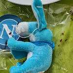 Photo n°1 de l'avis de Sasy.d fait le 07/06/2023 à 13:30 sur le  Poppella à Naples