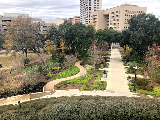 Urban gardens in Houston