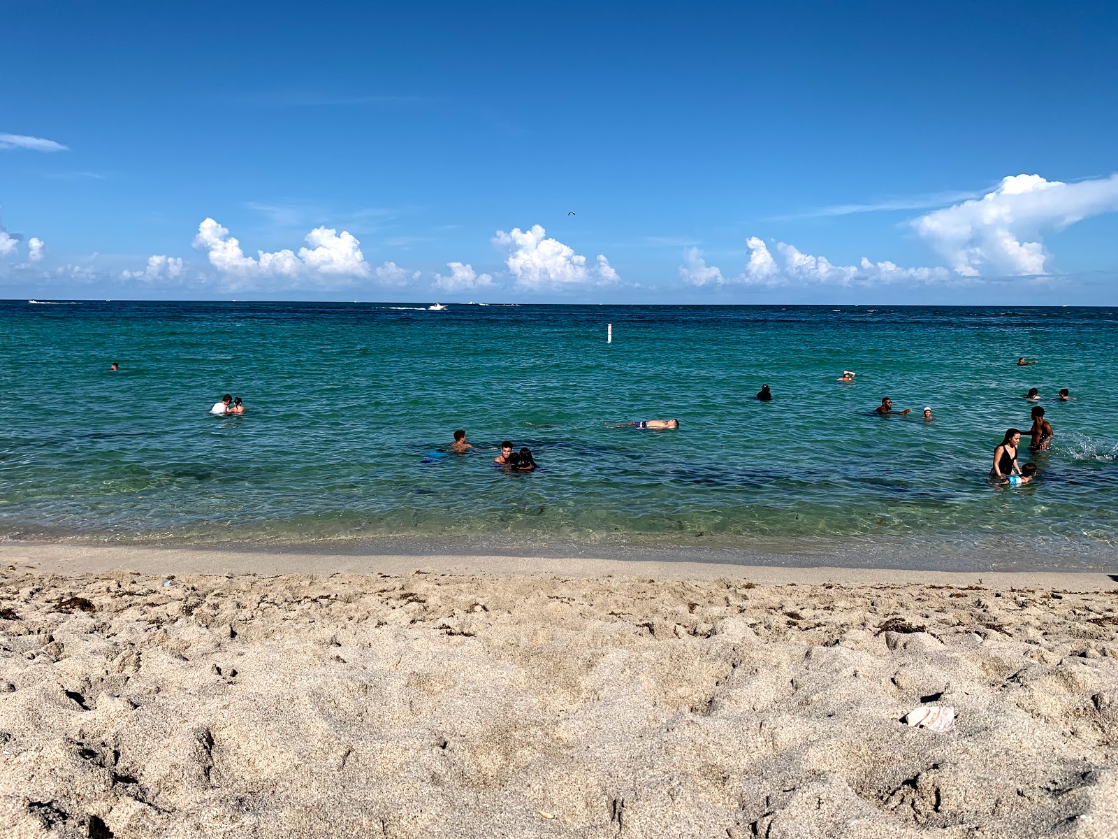 Photo of Haulover beach II with very clean level of cleanliness