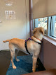 VCA Canada Vancouver Animal Wellness Hospital