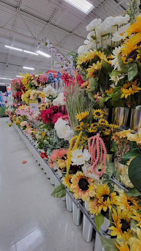 Craft Store «Michaels», reviews and photos, 20902 Frederick Rd, Germantown, MD 20876, USA