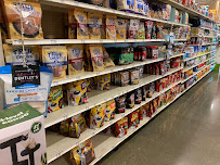 PetSmart - Photo 1 - Car repair in Alvin, TX, Galveston