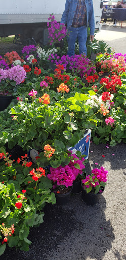 Flea Market «The Mission Market Open Air Market», reviews and photos, 207 W Chavaneaux Rd, San Antonio, TX 78221, USA